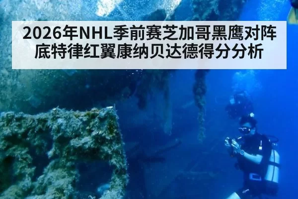 2026年NHL季前赛芝加哥黑鹰对阵底特律红翼康纳贝达德得分分析